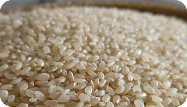 自家產經精挑細選的糙米，有著豐富的營養，追求原始本味的您還在等什麼呢 ?